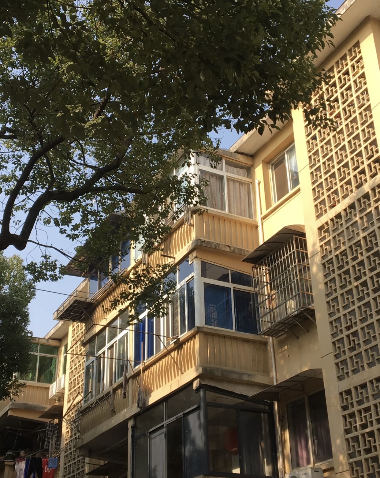 前阵子去广西梧州逛了几天,在那儿看到不少