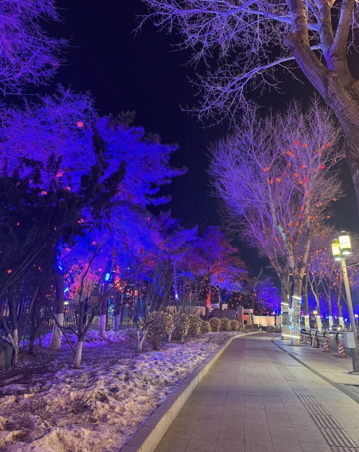 冰雕那是一 长春新民大街夜景长春市双阳区夏天夜景图片长春夜景比较