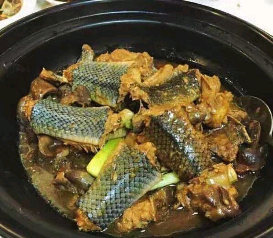 蛇肉