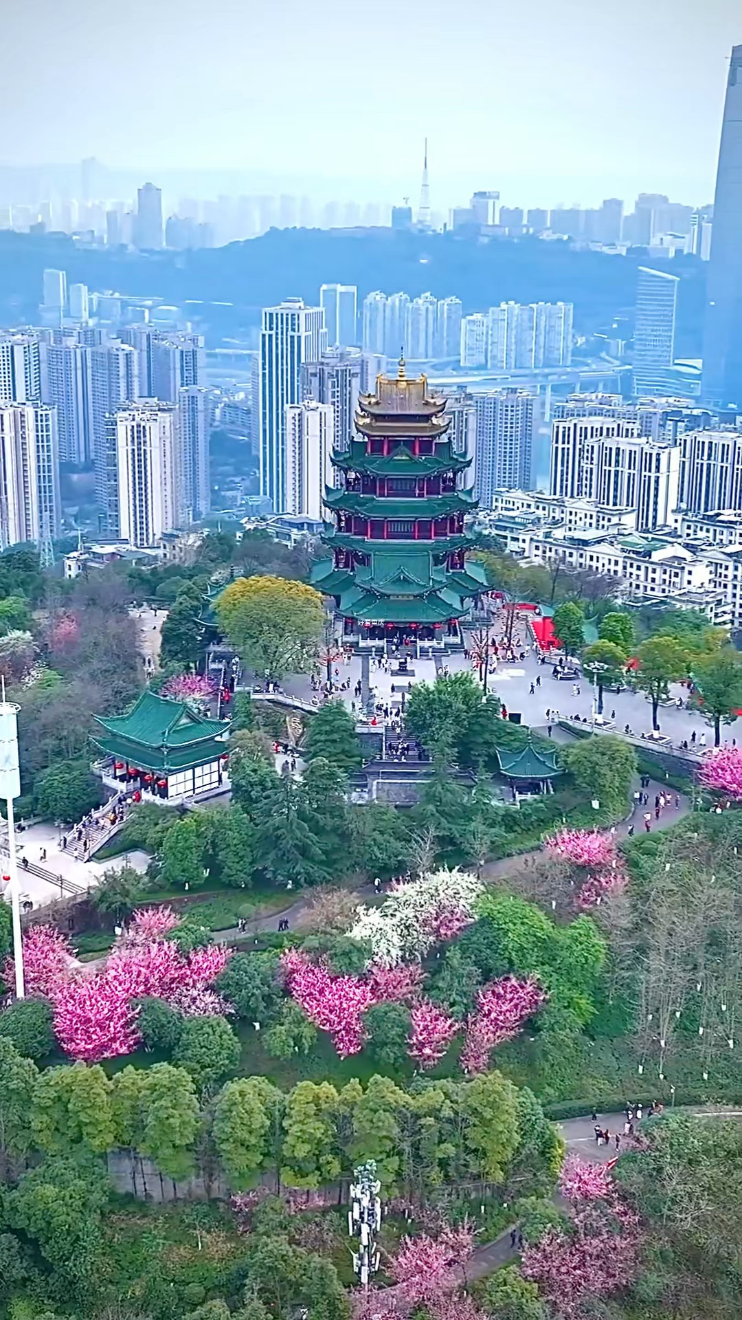 初春的鸿恩寺森林公园,既有自然的清新之美,也有文化的厚重之感