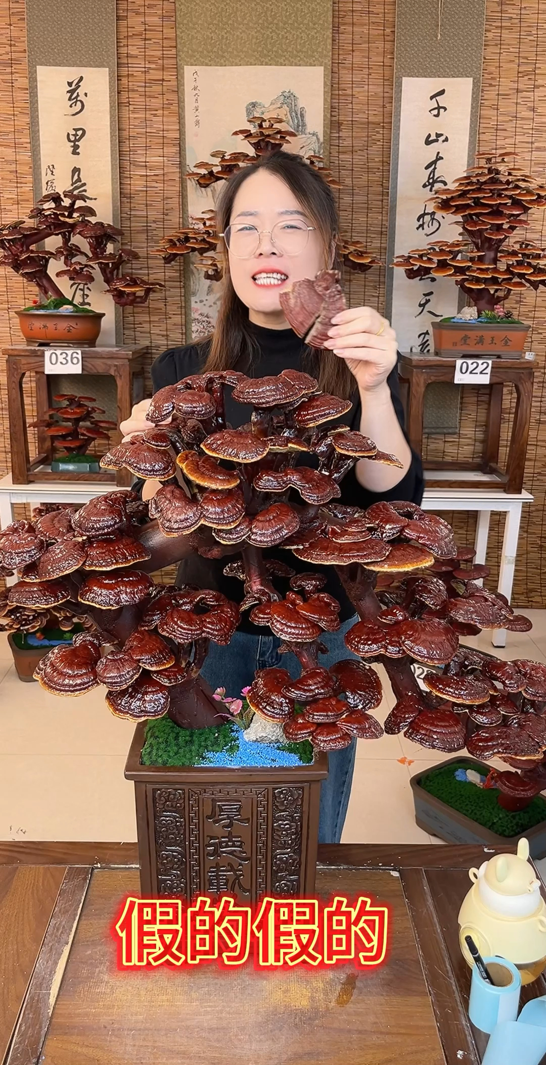 灵芝花富贵花,灵芝越过越发