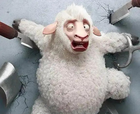 我当时挺开心的,可万万没想到,他直接给我寄了一整只羊过来,这可把我