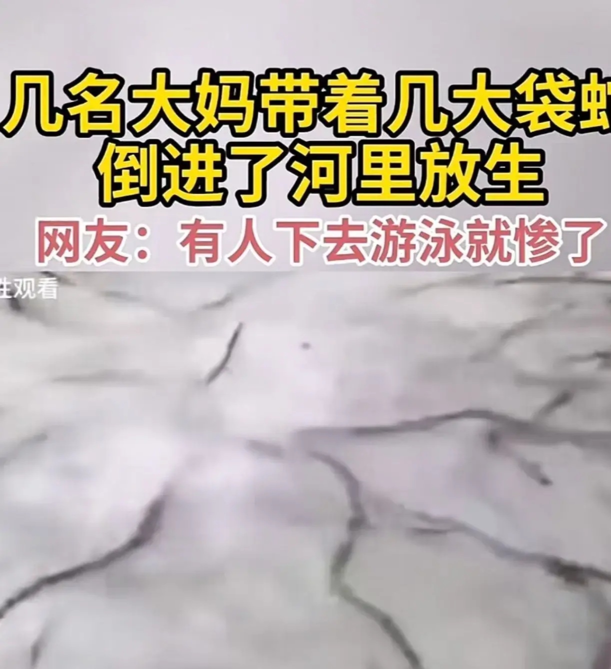 大妈放生几大袋蛇,还念着"阿弥陀佛",这波操作真让人惊掉下巴.