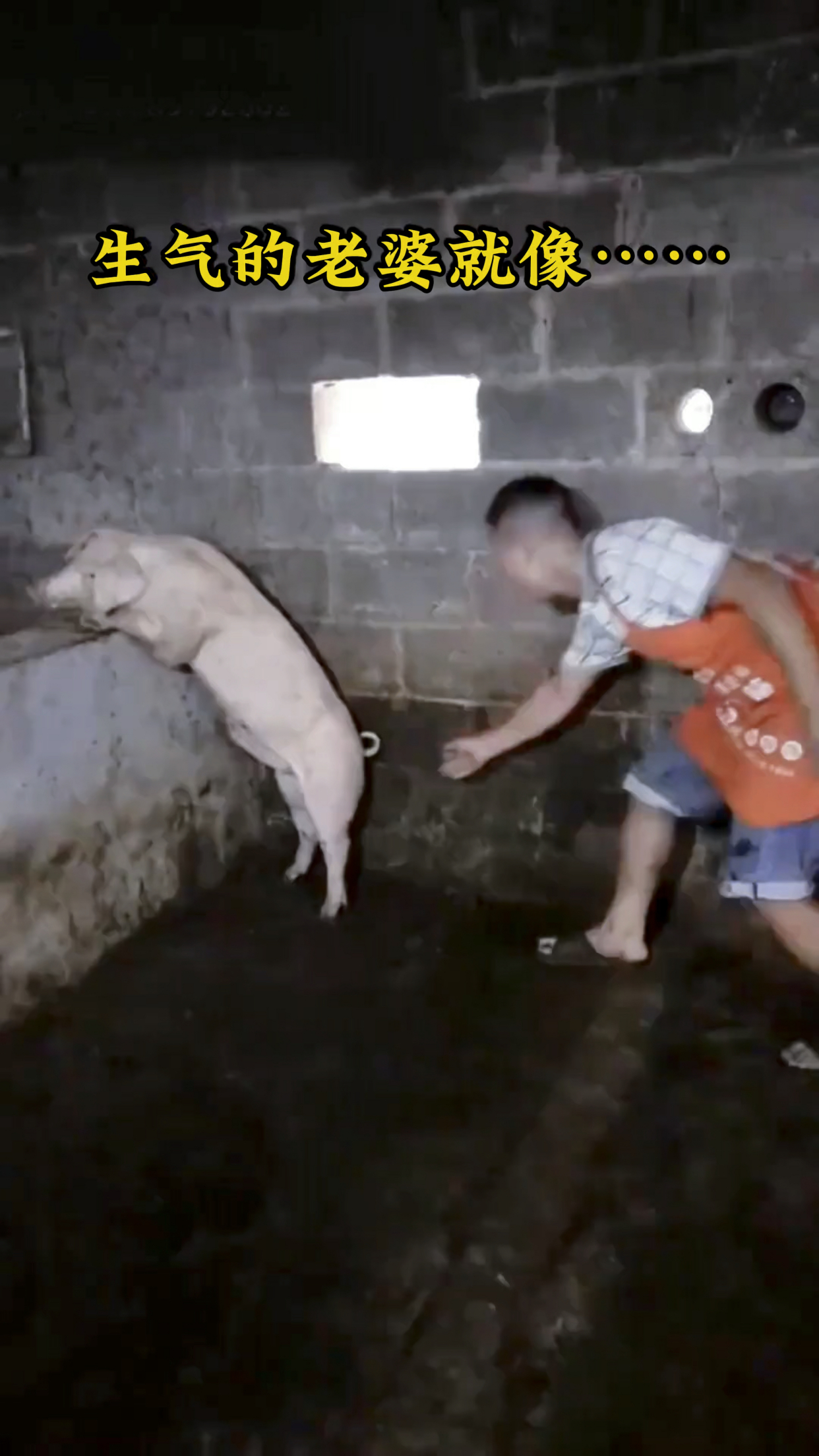 当老婆生气去抱她的时候#抱猪挣扎视频 #逗比夫妻日常 #老婆