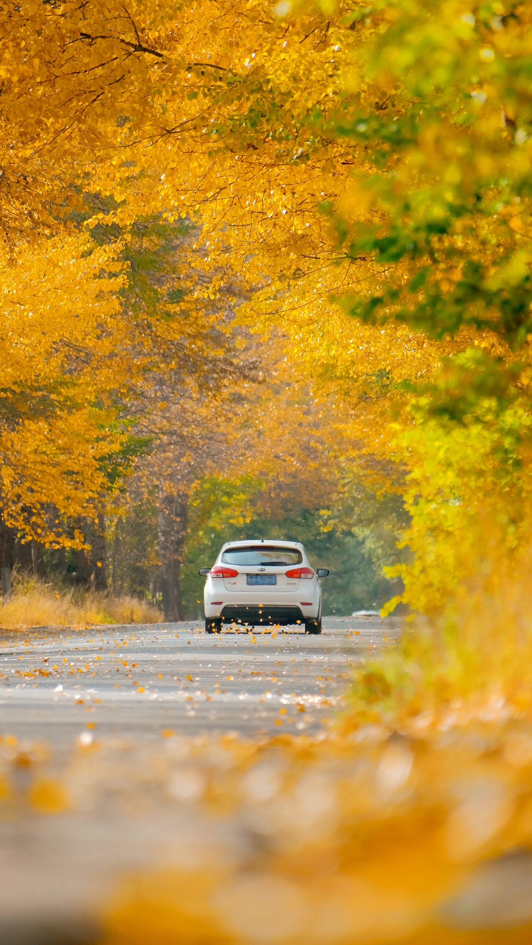 彼时,他在部队当兵,我则在兰州求学