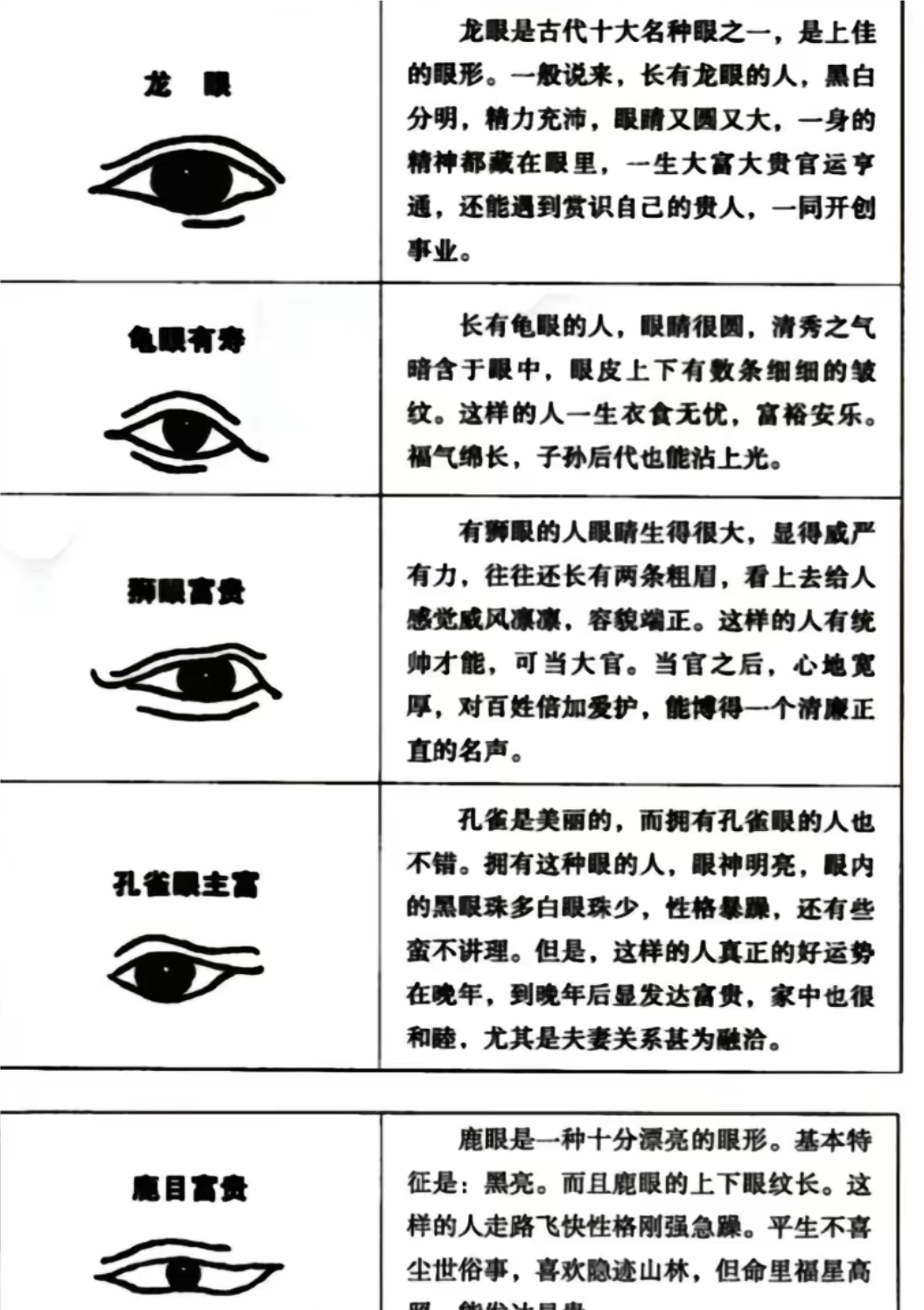 为什么人类有两只眼睛？