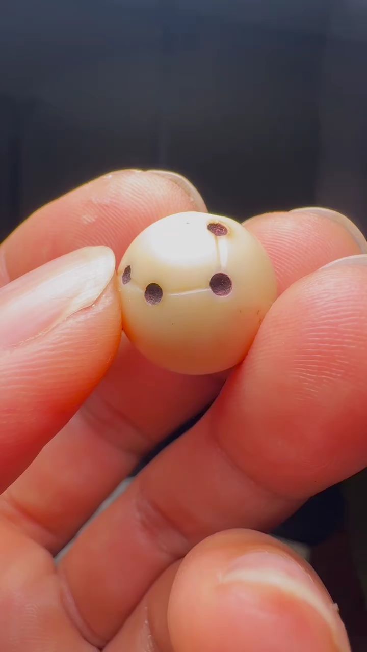 老的道教北斗七星白珊瑚珠 1.7正圆