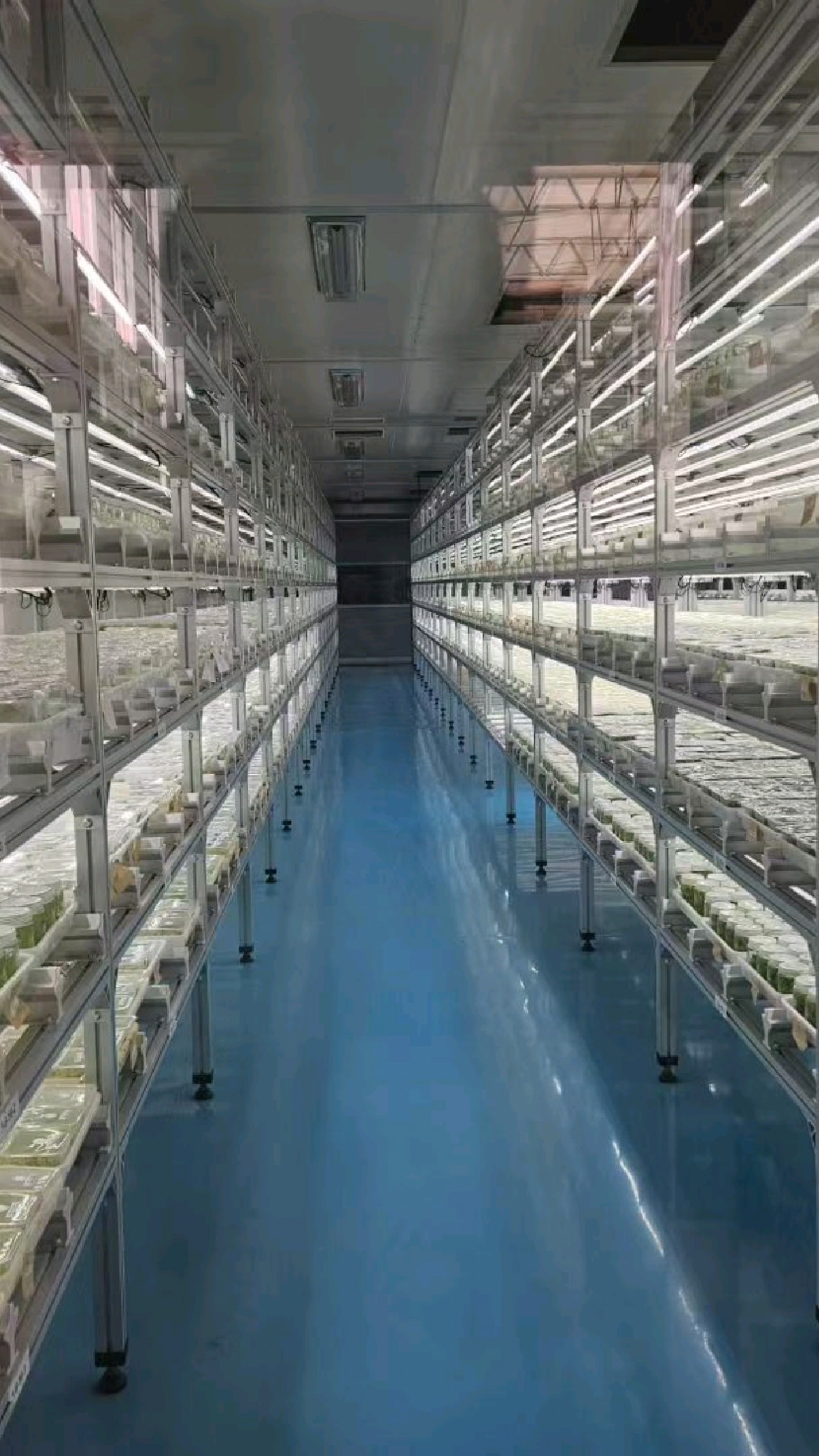 304不锈钢组培架 培养架 组织培养室设计建设