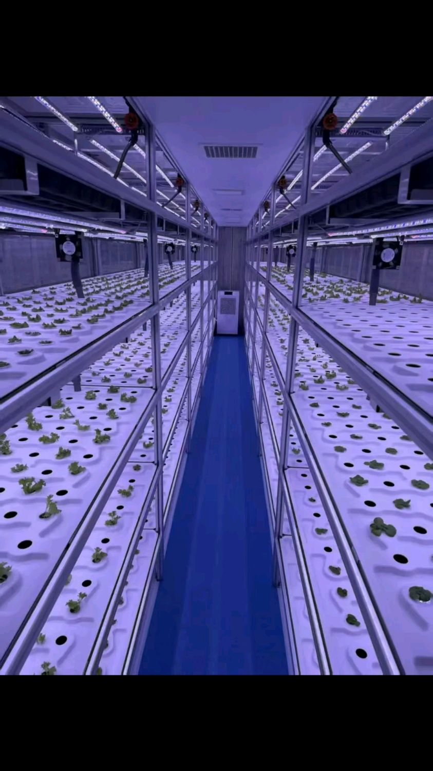 植物生长架 植物补光灯 培养架 组培架 厂家定做