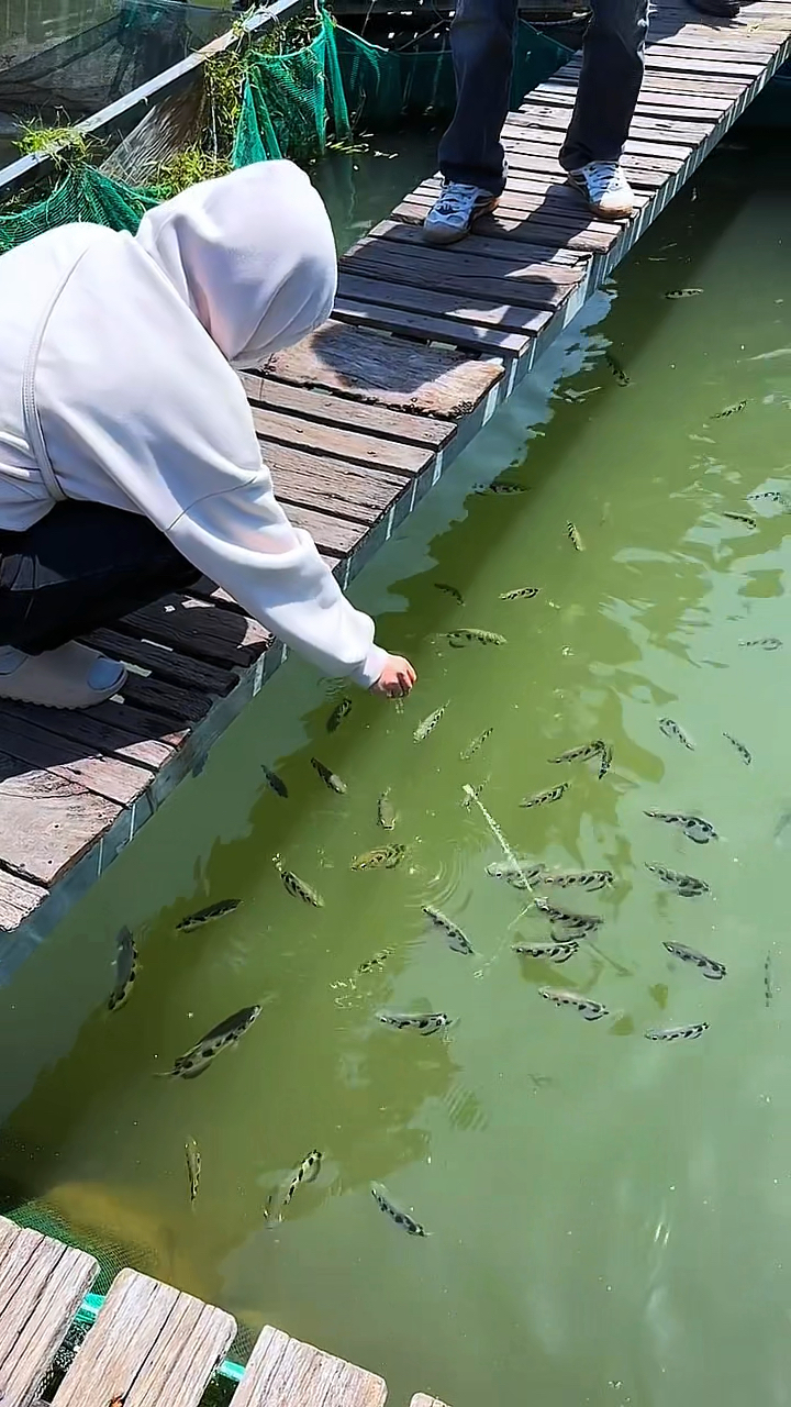射水鱼太好玩了,小哥都玩上瘾了!