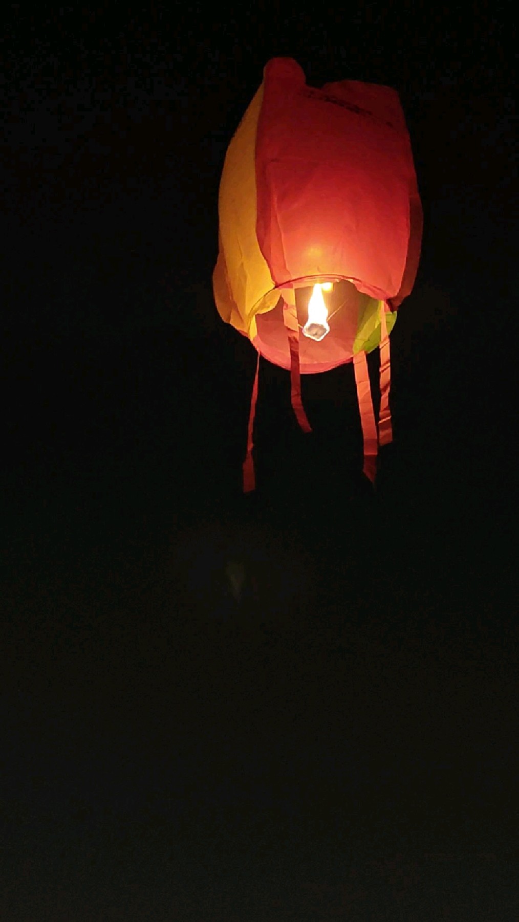 蛇年放飞孔明灯,祈愿好运福气长伴