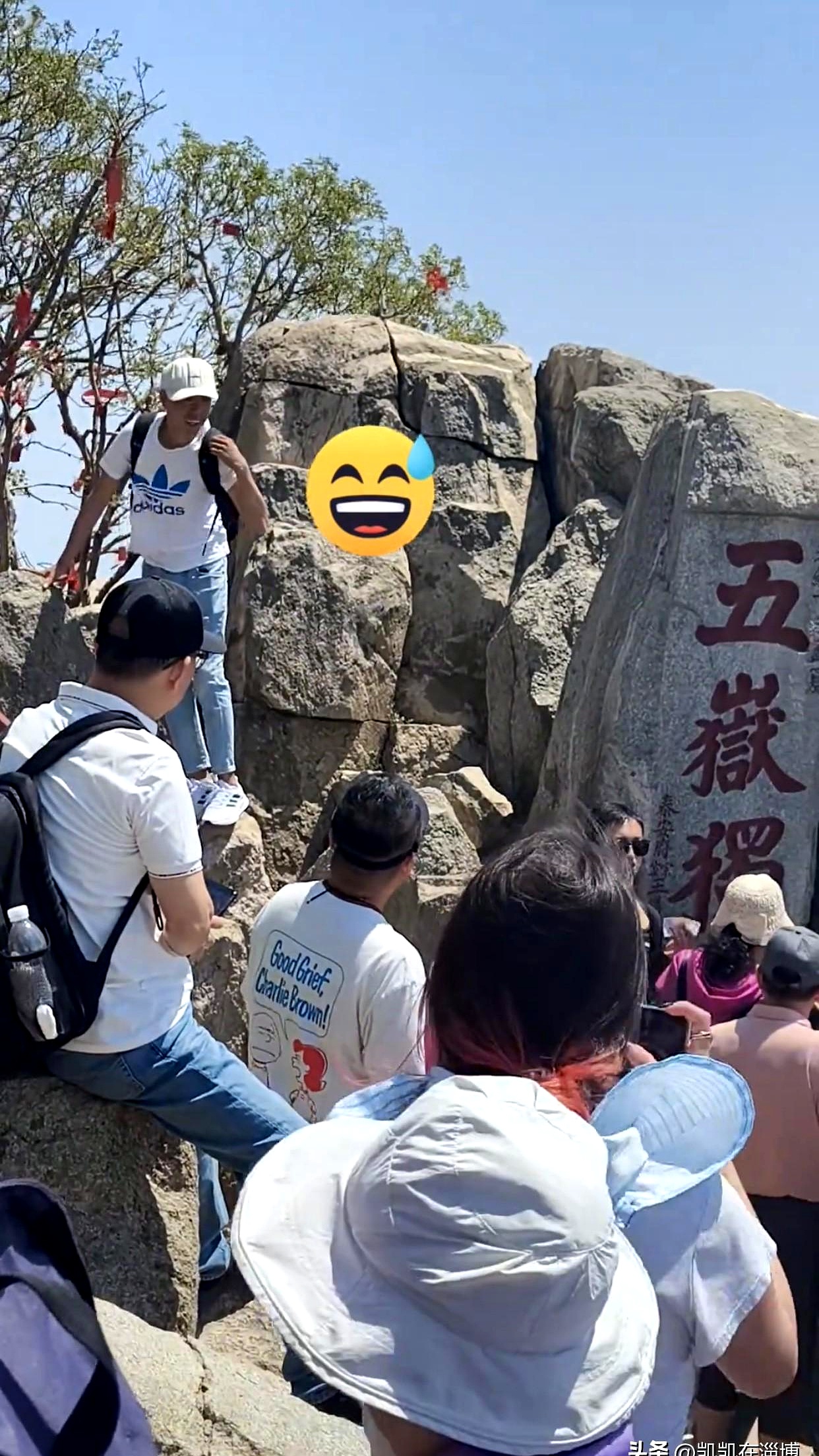 不是因为他长得多俊俏,也不是因为他爬泰山多有毅力,而是因为他不懂