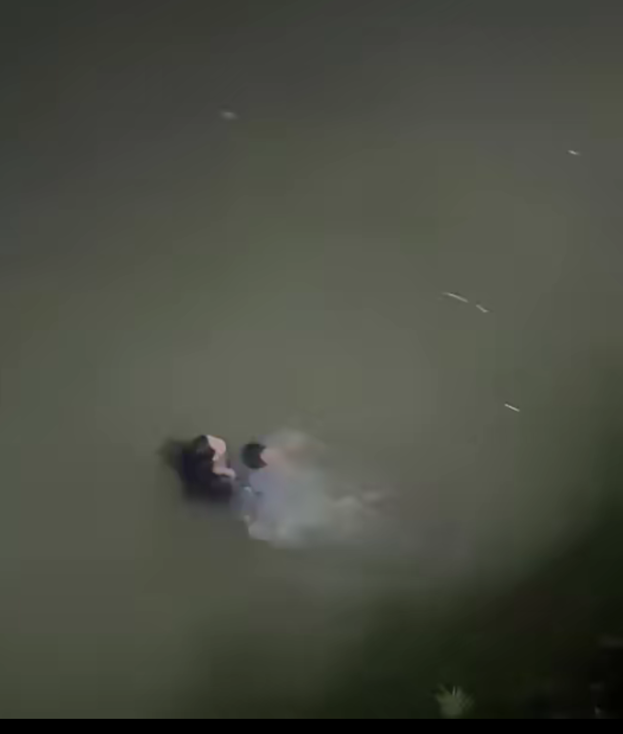 视频女子踹男友下河致死获刑五年半视频夜晚在小溪边全身湿透,的照片