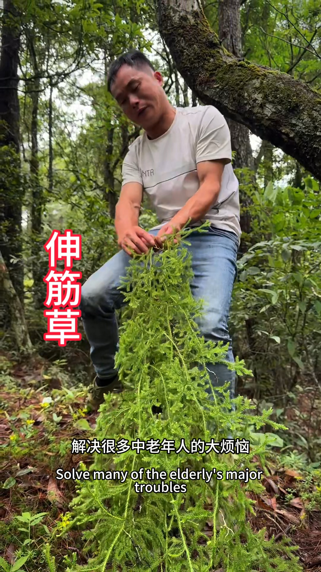 农村生活