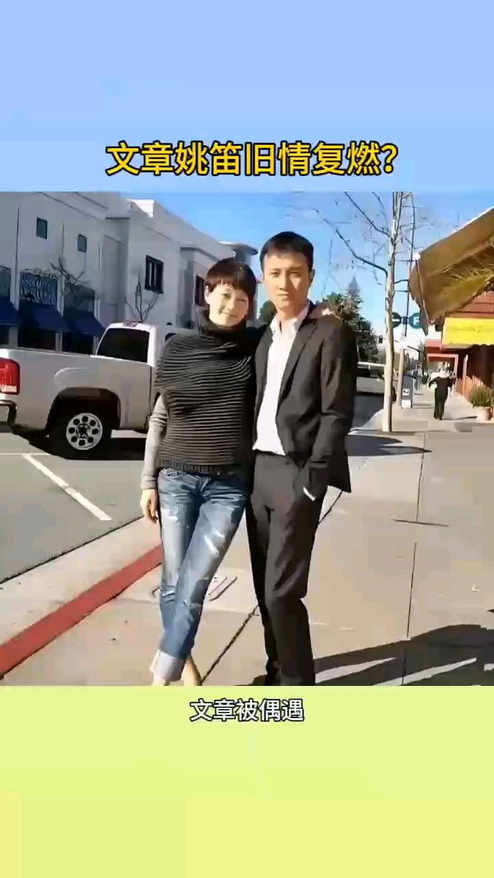文章姚笛旧情复燃?