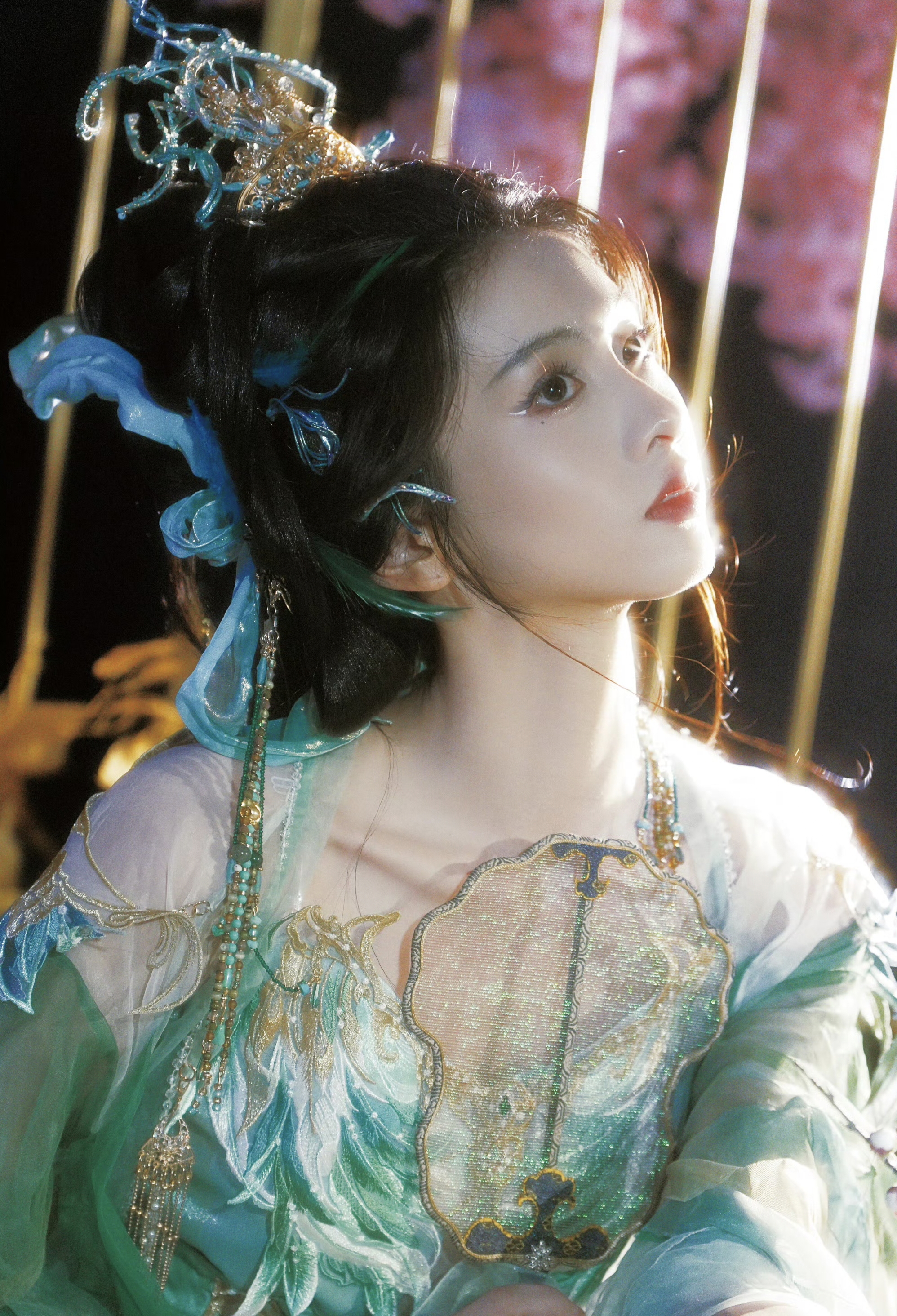 —章台仙子在跳舞 怎么会有这么美的小精卫鸟呢