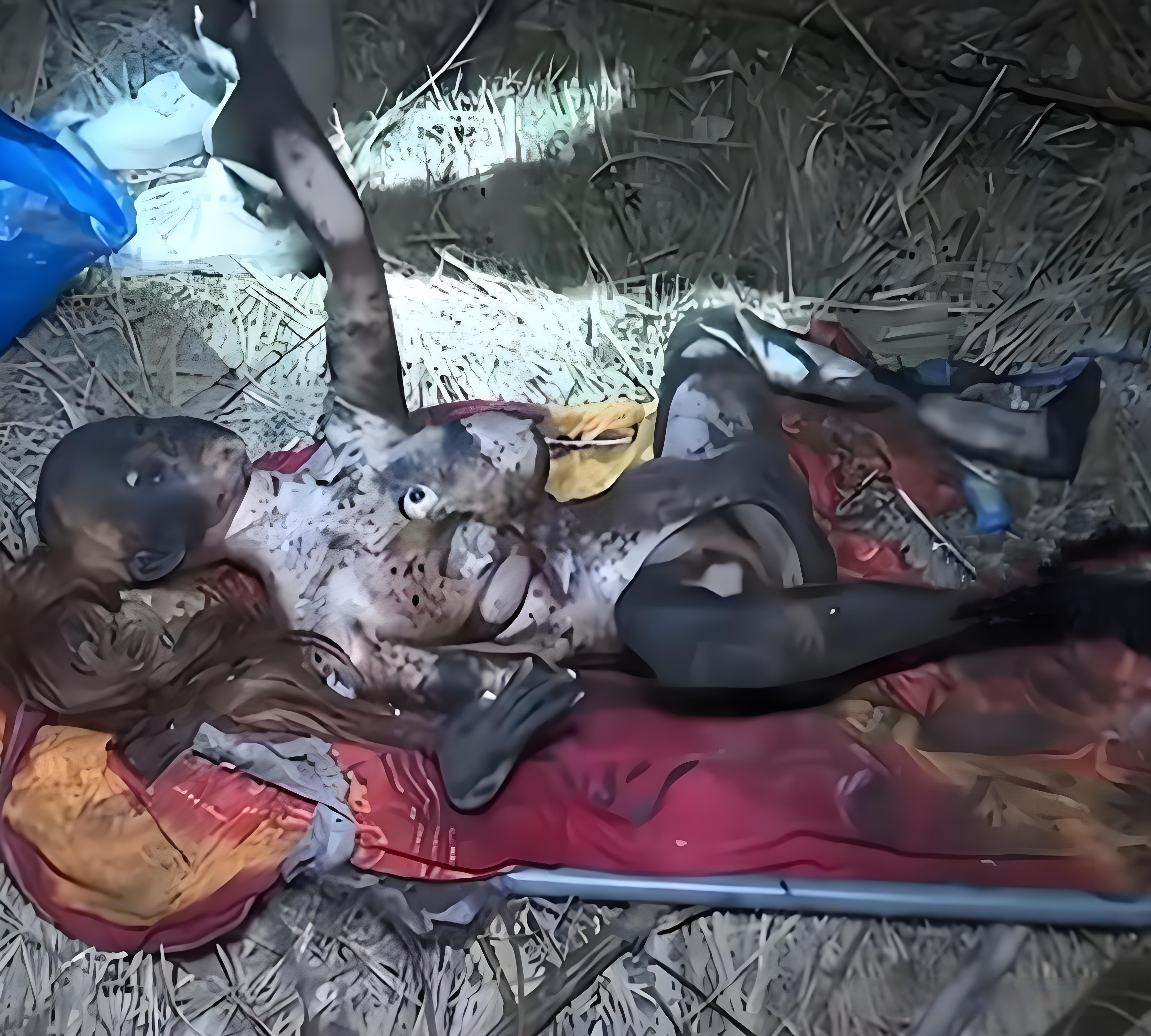 警察错把高仿真硅胶娃娃当女尸,令人啼笑皆非的乌龙凶杀案!