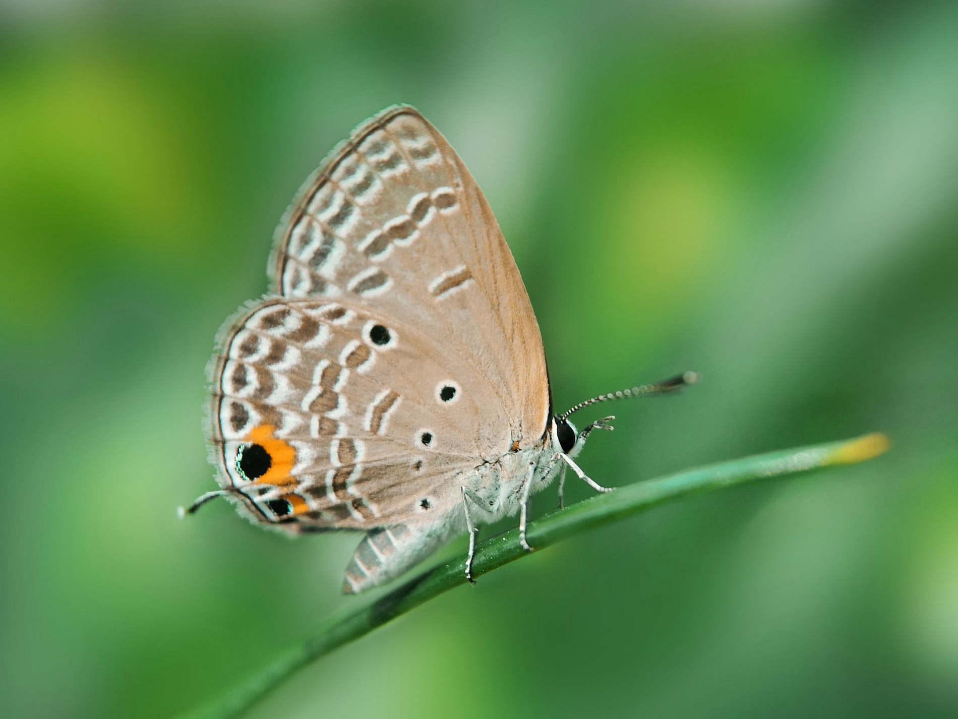 实际上她的人品非常过硬,做人不仅低调谦虚还特别有礼貌