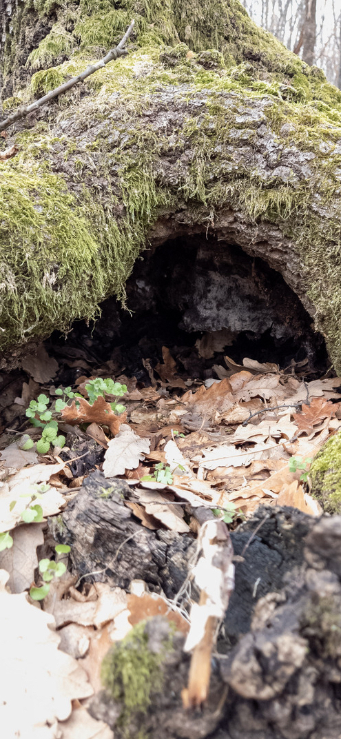 一个人最顶级的活法就是,隐藏