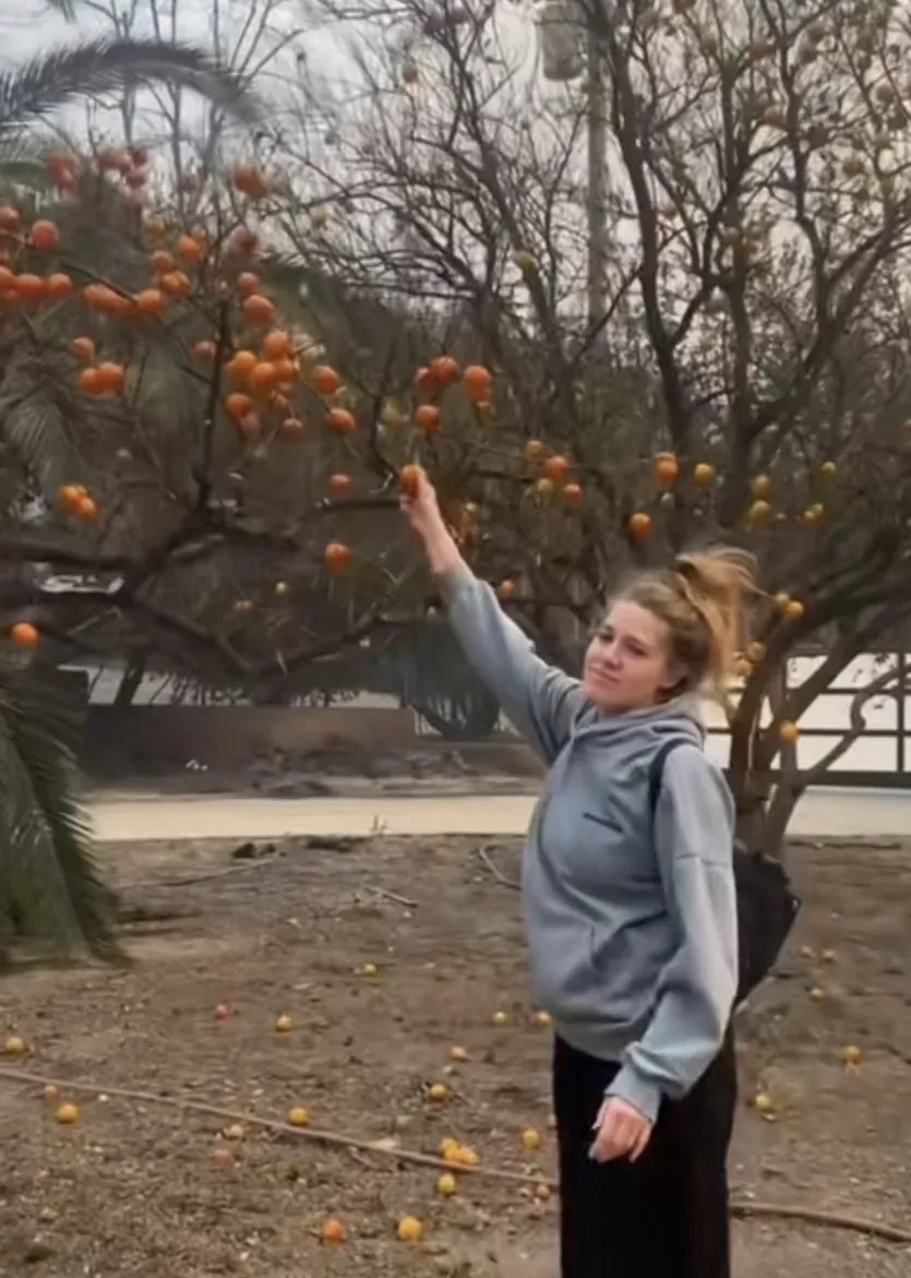 伐树美女外国视频网站_cnn电视台直播在线观看