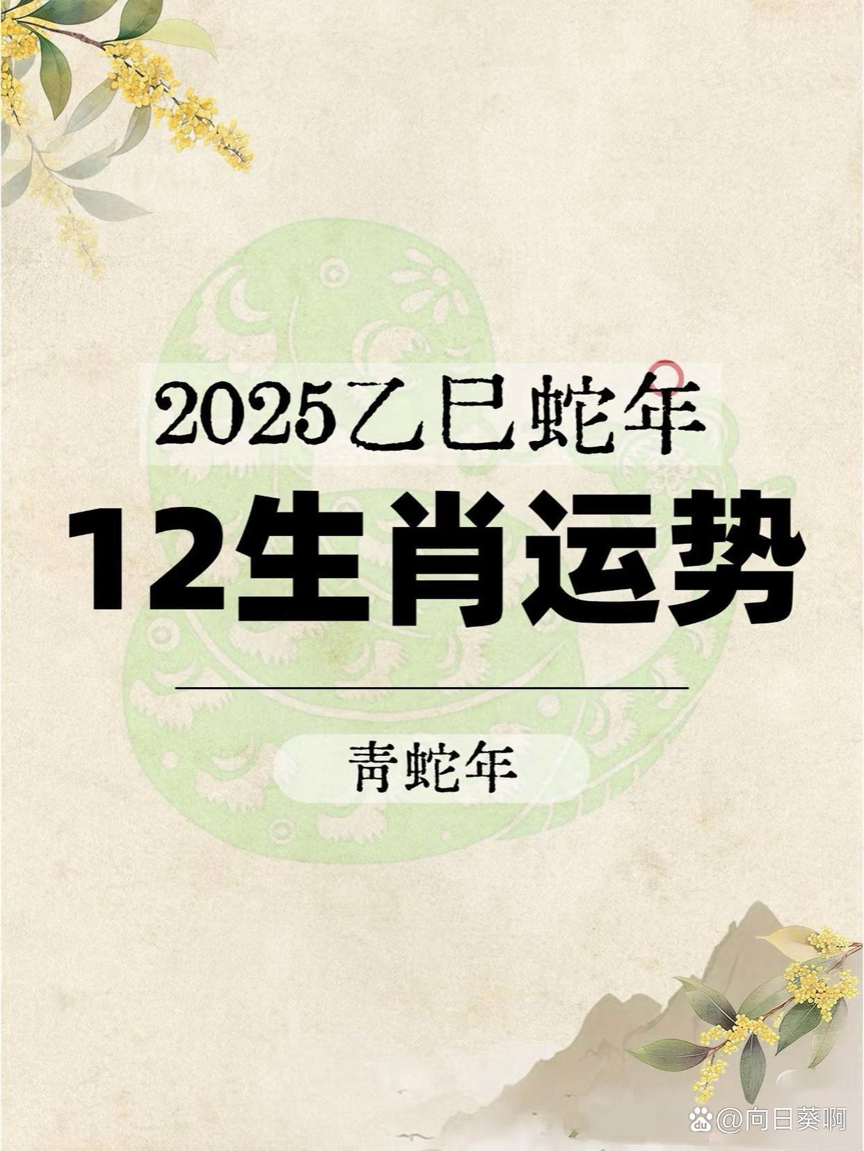 生肖属相运势2025年(20222025生肖)