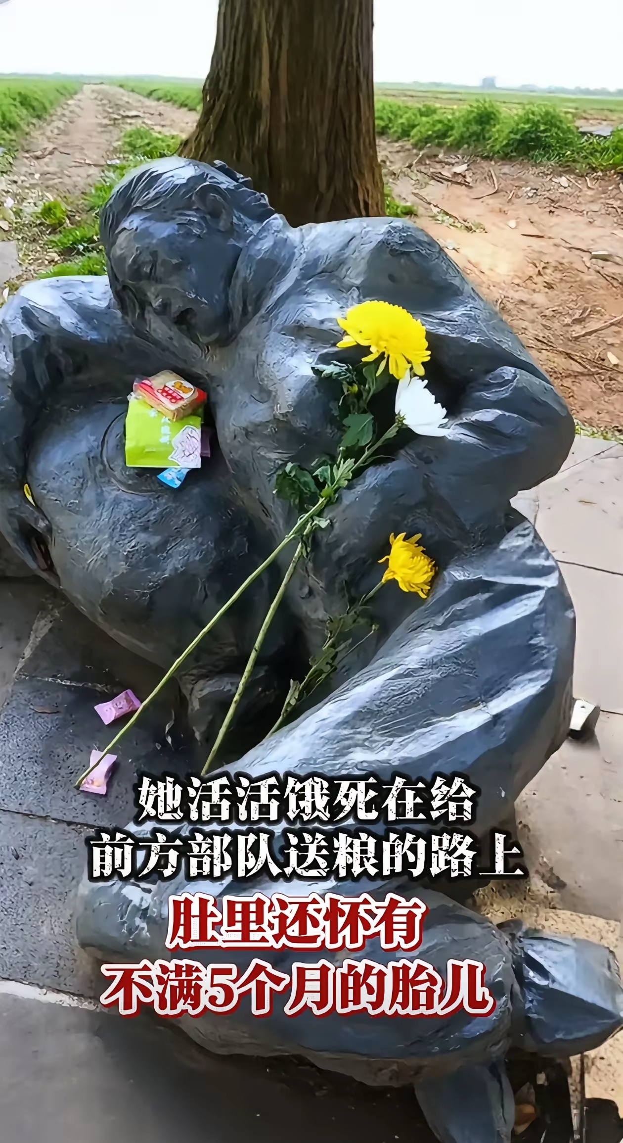 她是一位小脚女人,怀胎五月,饿死也不吃军粮的她倒