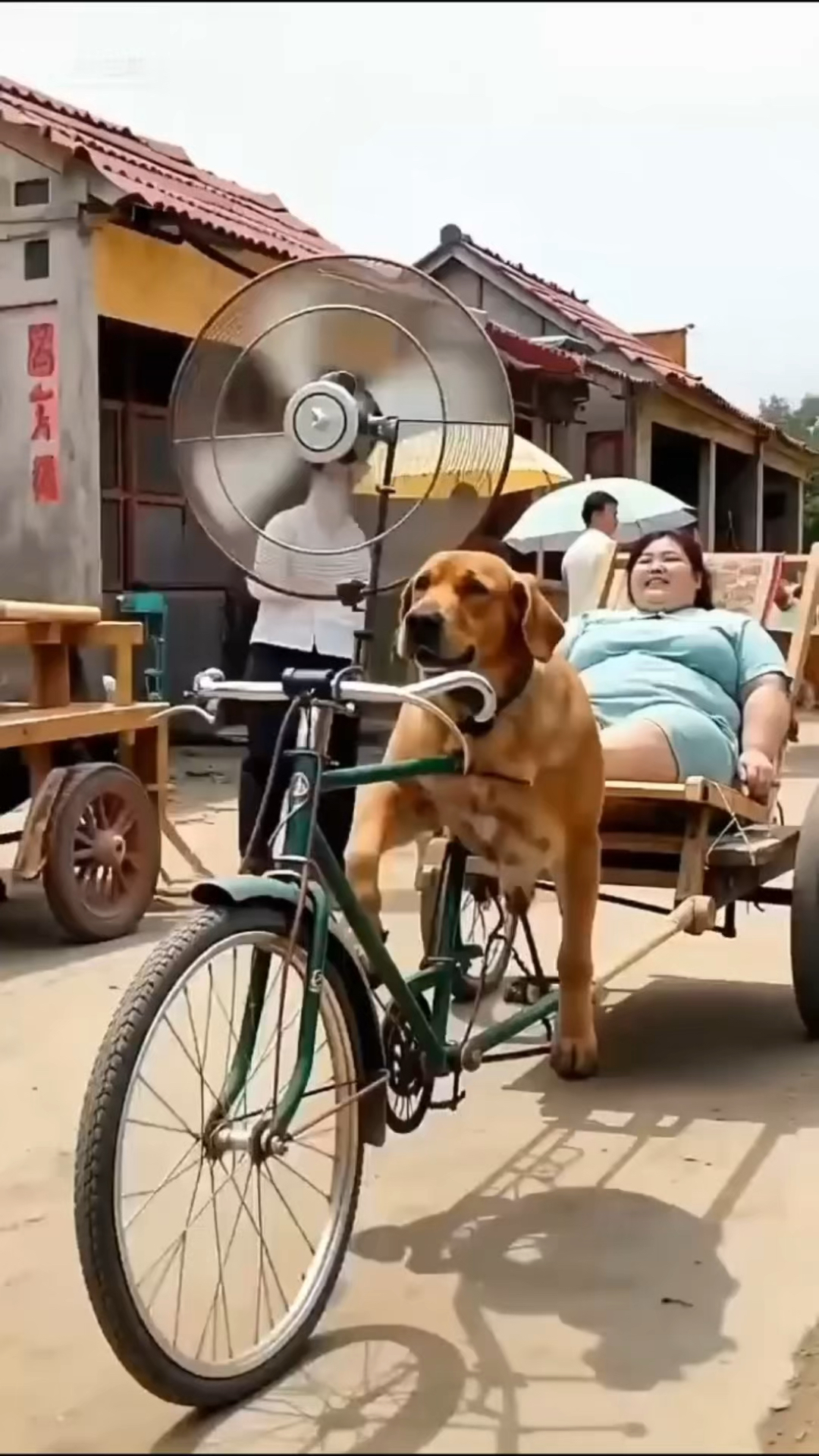 女子用狗拉着她逛街