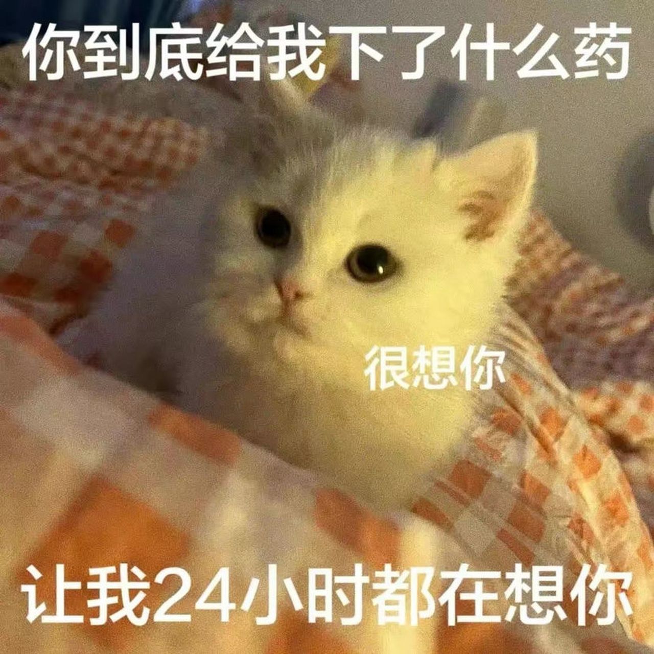 与情人聊天幽默的图片图片