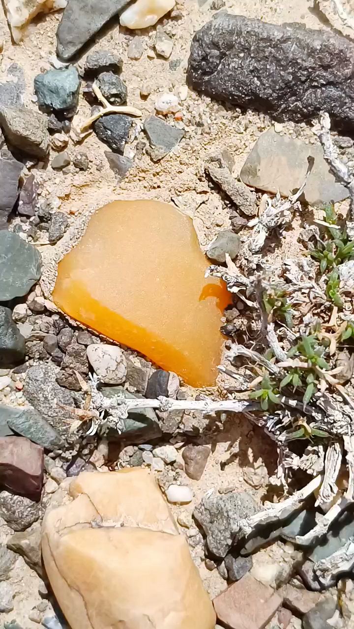 戈壁滩上的金丝玉原石