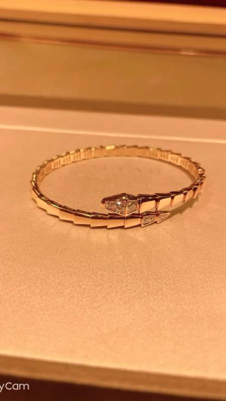 宝格丽 灵蛇手镯#手镯#奢侈品#同城-度小视