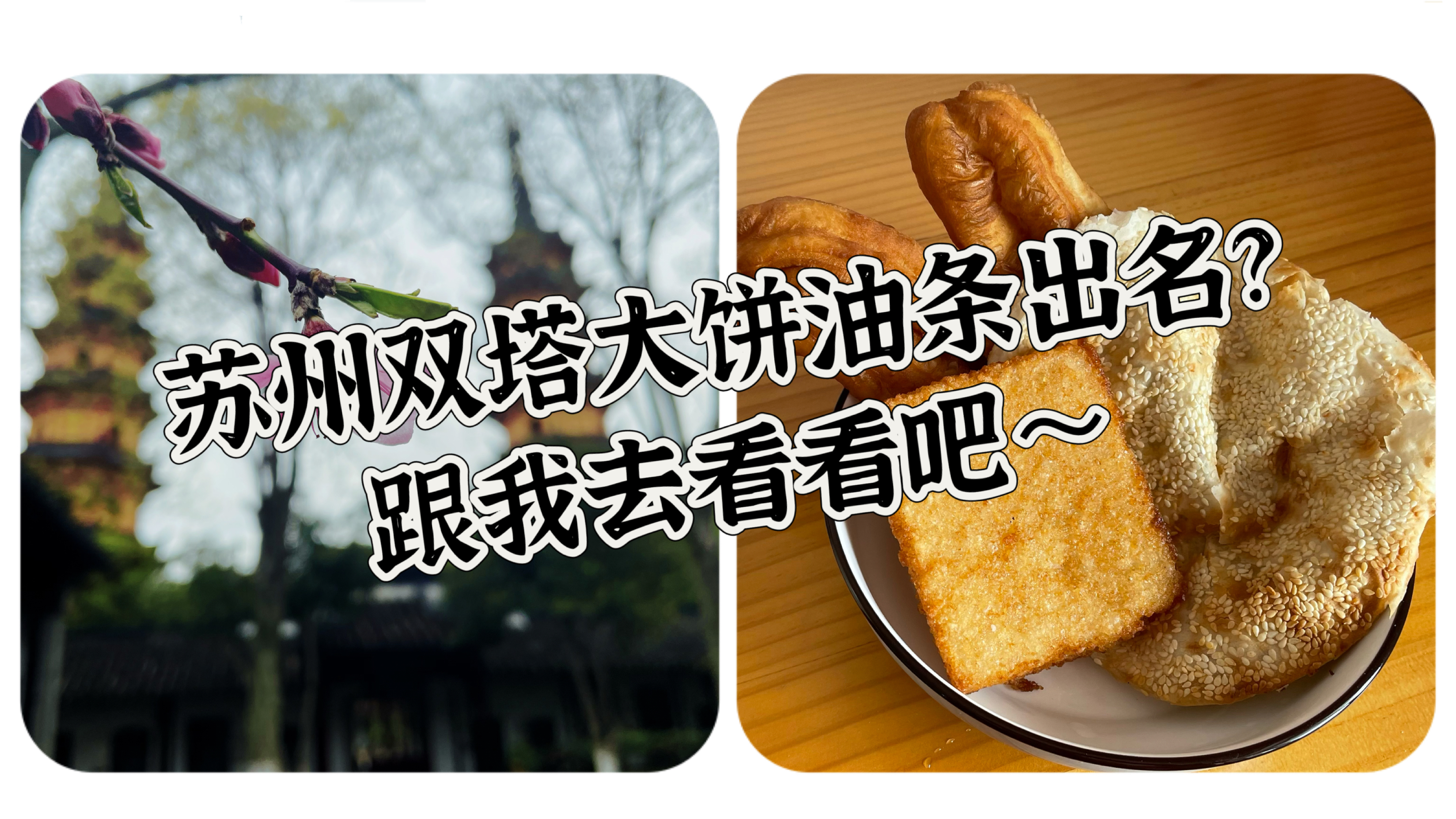 苏州双塔边的大饼油条,香是香的来～