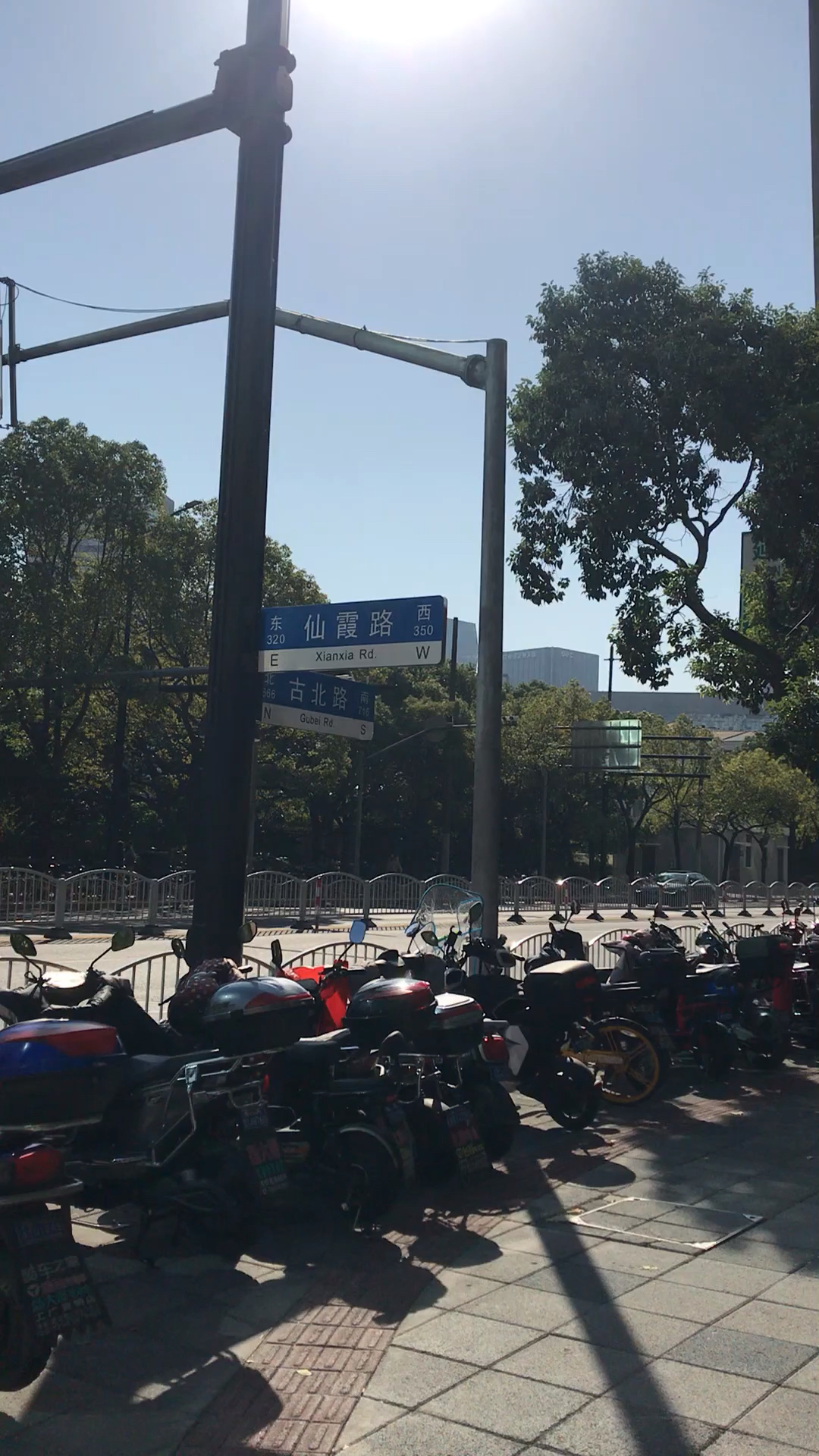 上海街景实拍仙霞路第一段