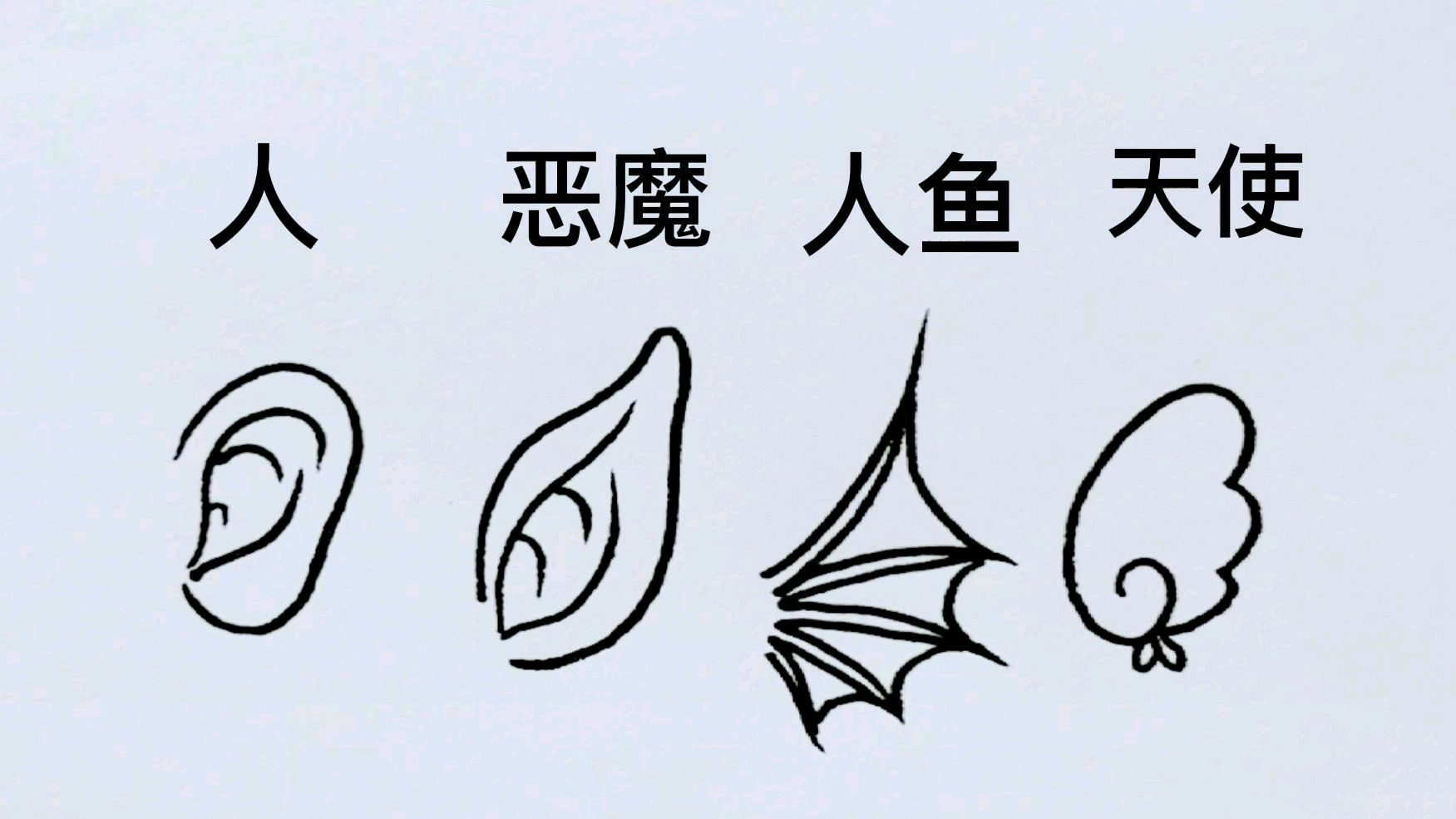 各种耳朵的不同画法