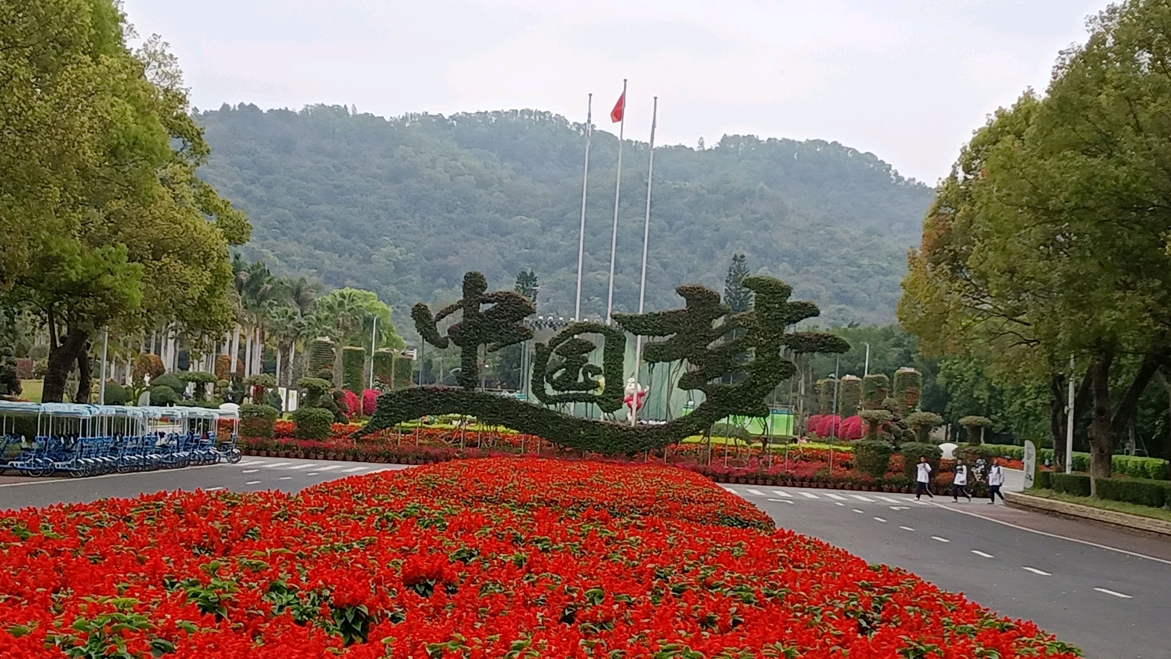 漳州東南花都花博園,這裡百花盛開春滿園