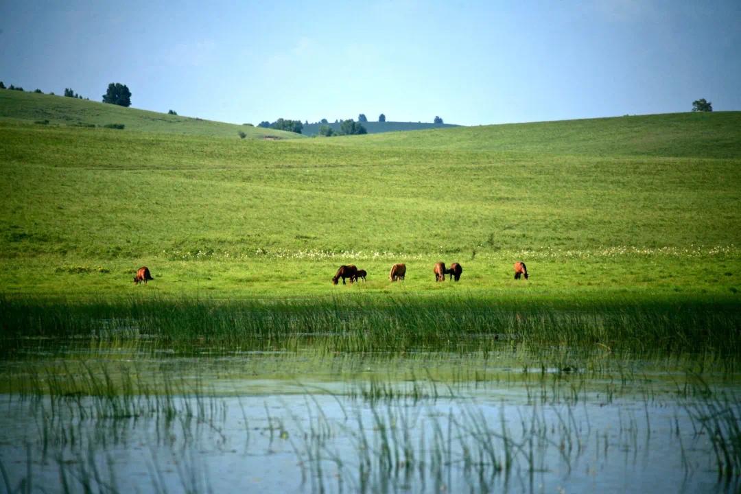 游坝上草原 阅乌兰布通古战场历史