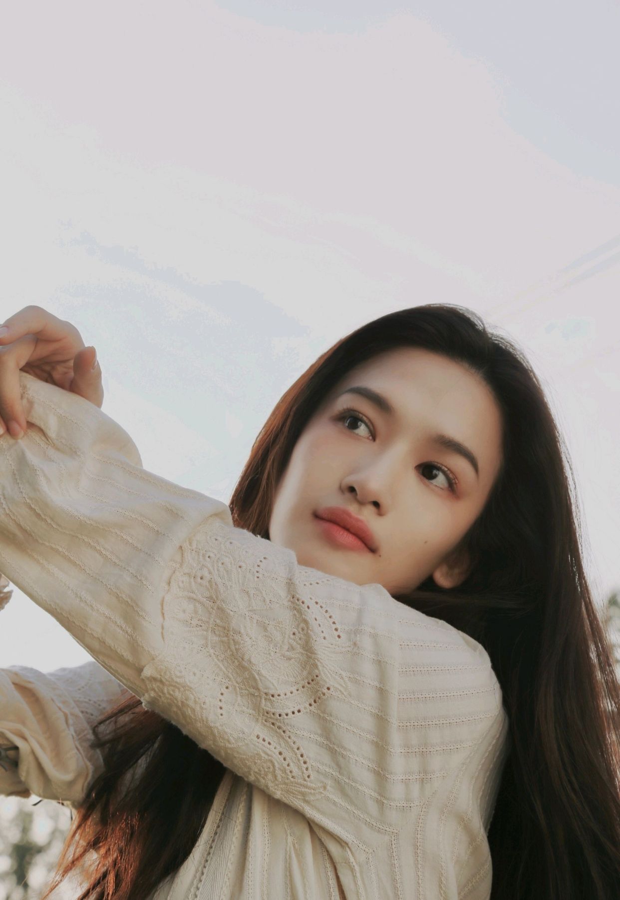 明星写真美图|张柏嘉