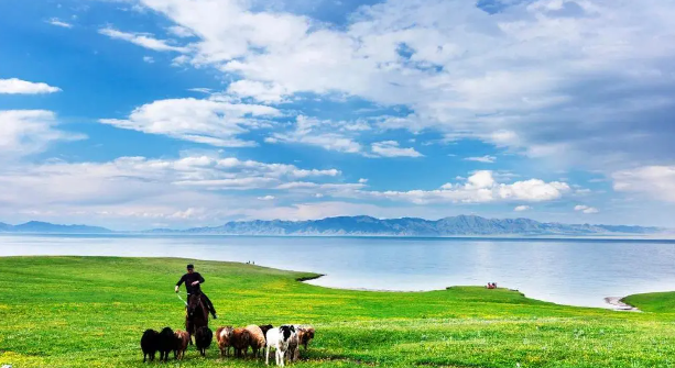 游坝上草原 阅乌兰布通古战场历史