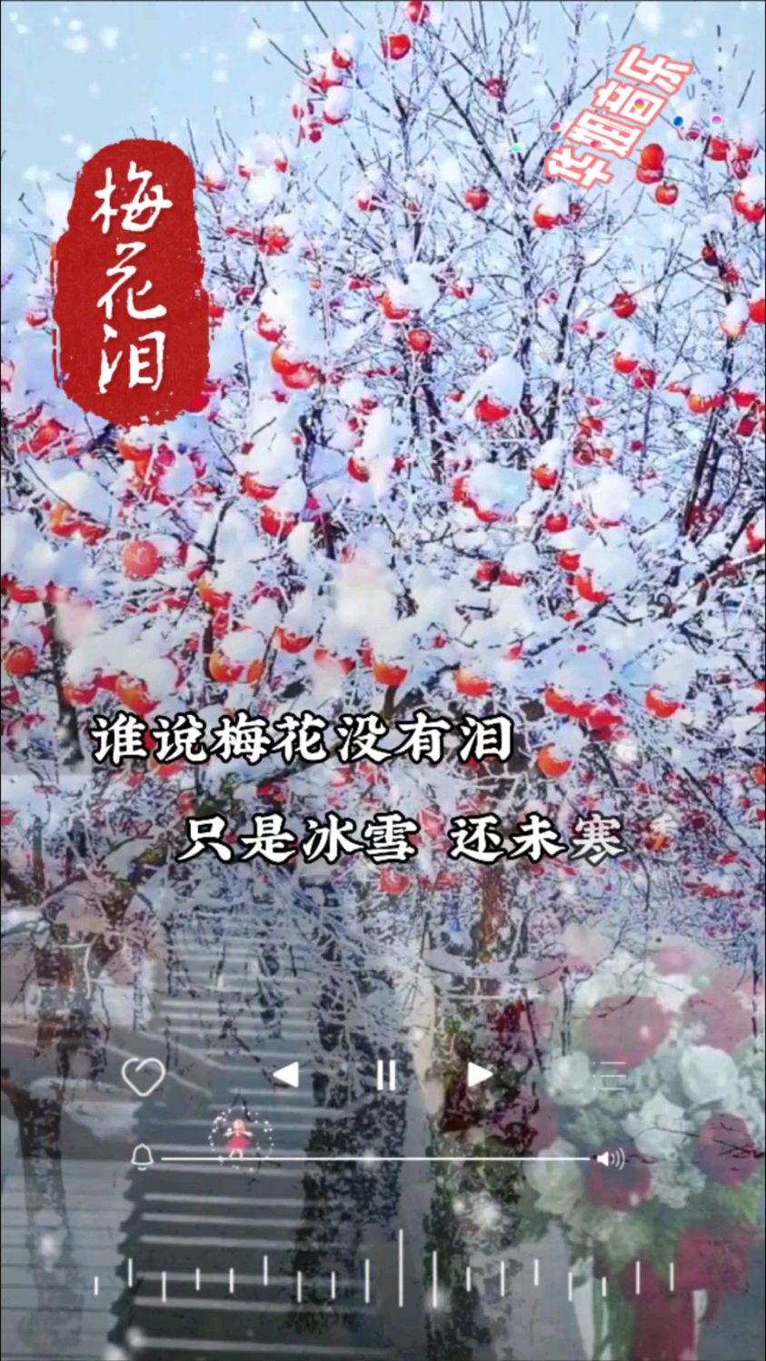 谁说梅花没有泪