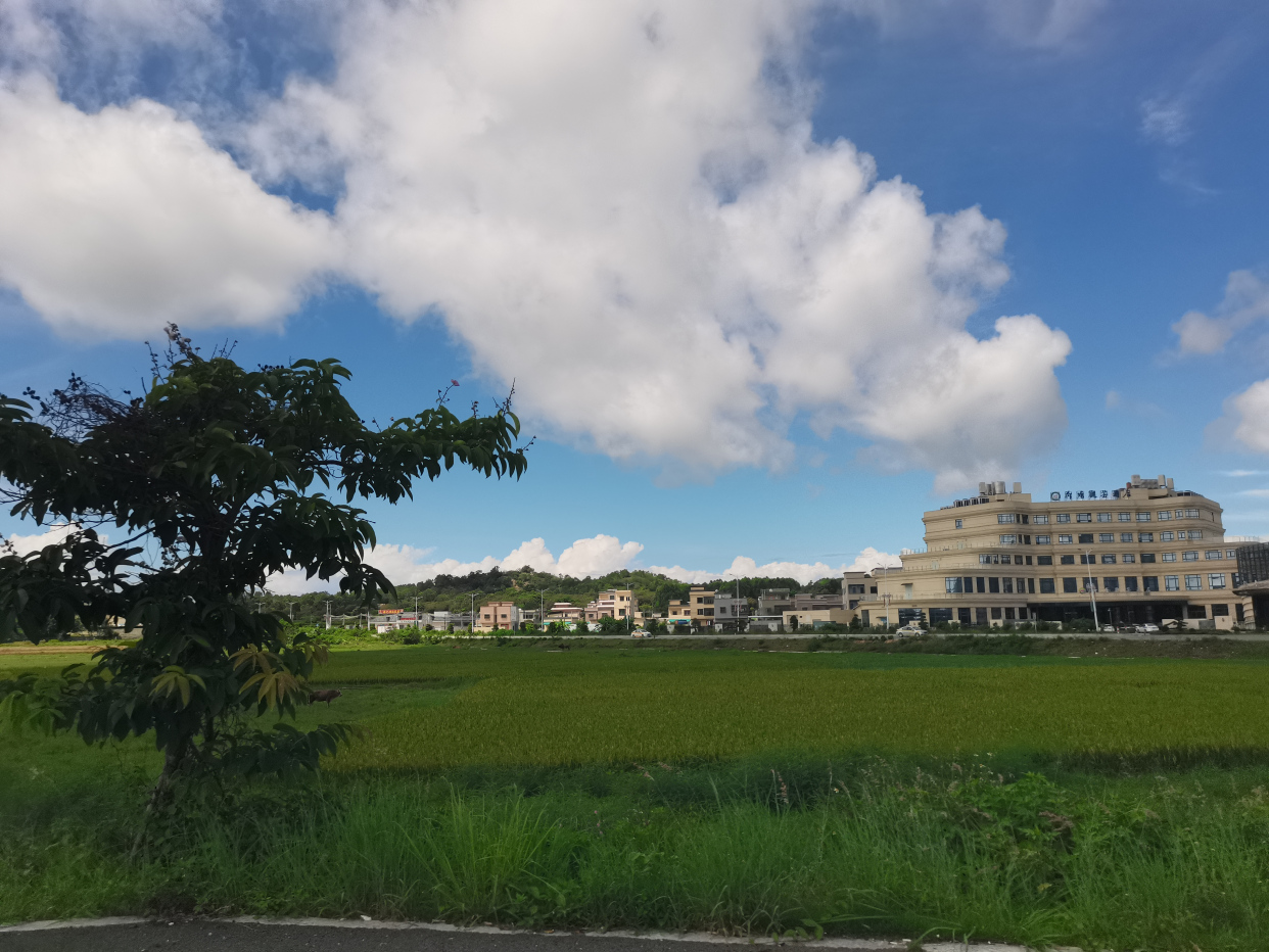 汕头军船头村让你明白什么叫"接天莲叶无穷碧"