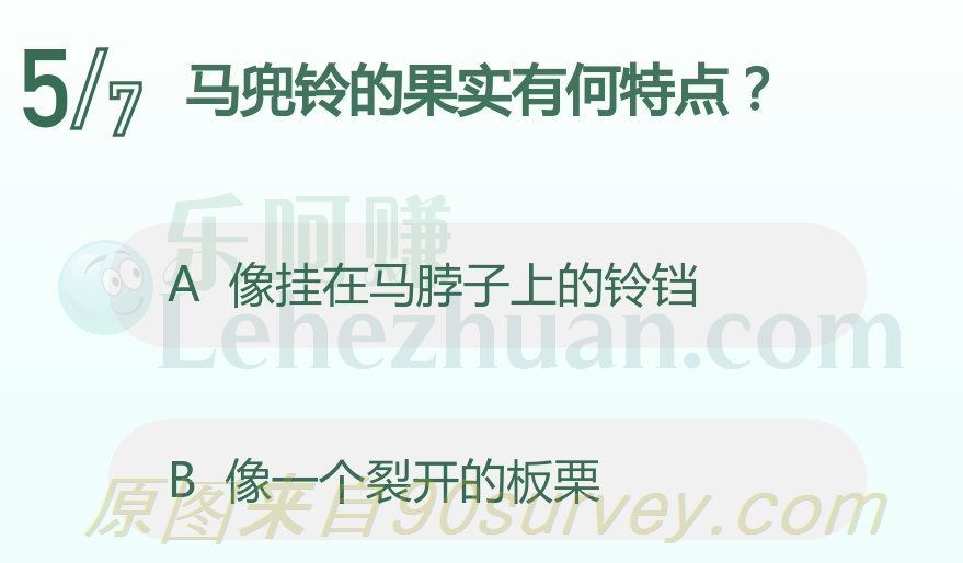 马兜铃的果实像挂在马脖子上的铃铛 马兜铃的果实像挂在马脖子上的铃铛