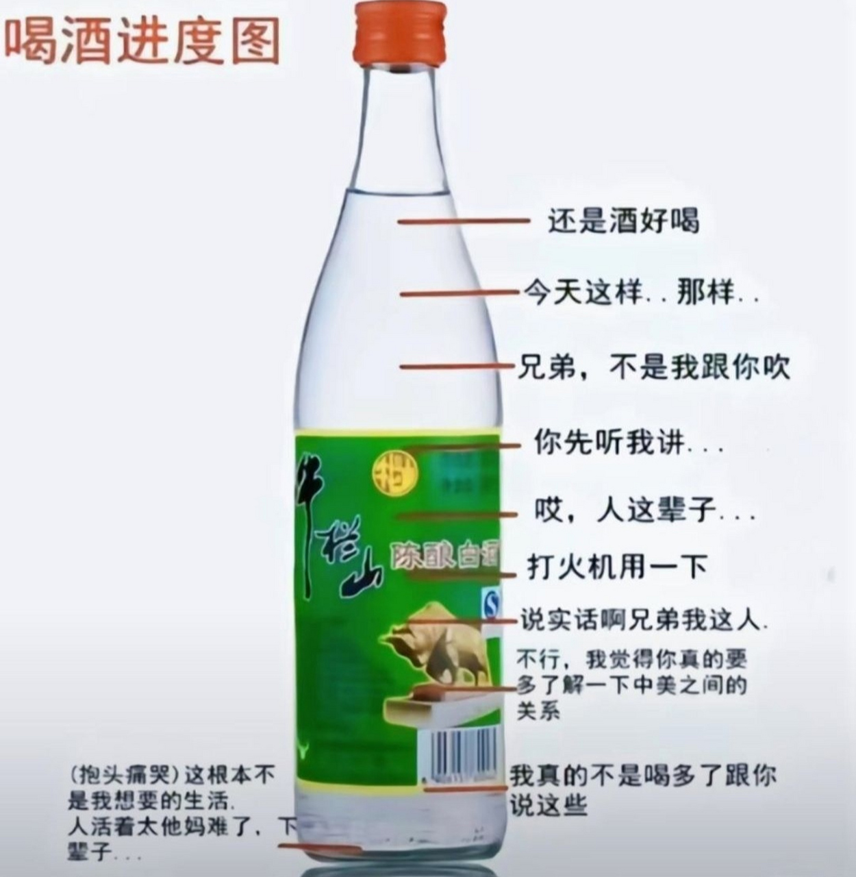 喝酒进度图#搞笑# #喝酒