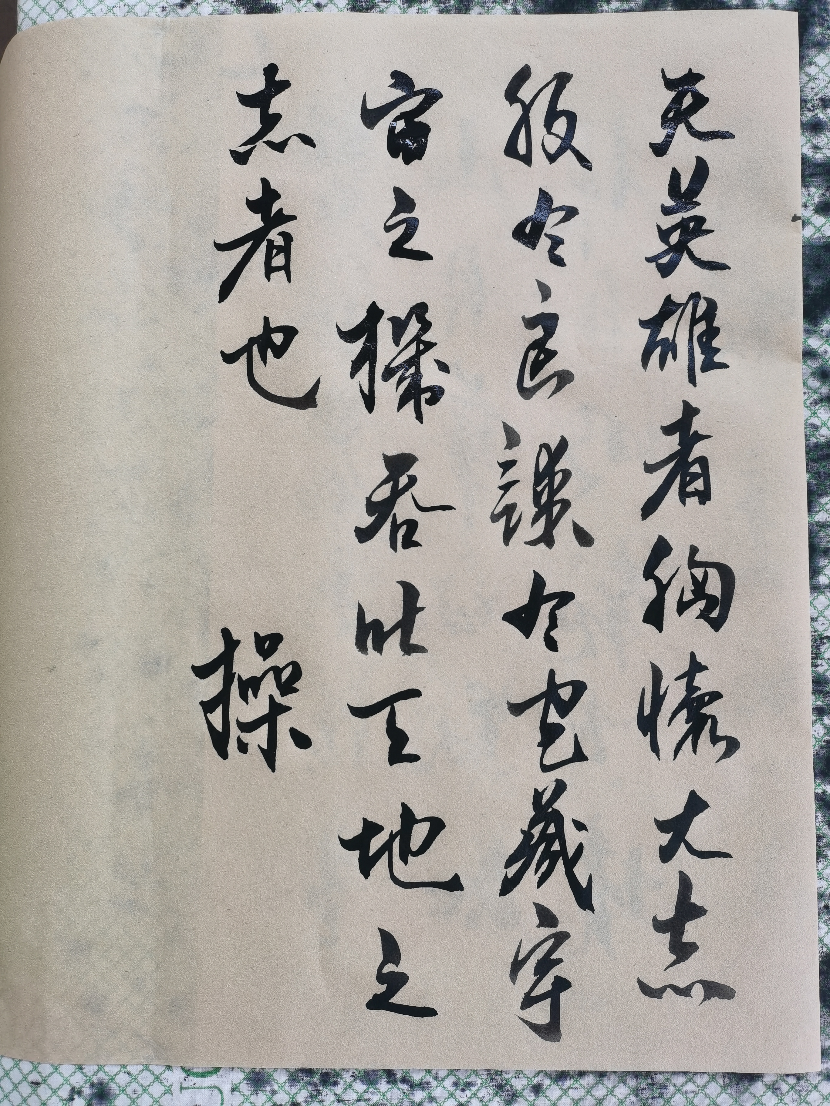 夫英雄者,胸怀大志,腹有良策,有包藏宇宙之机,吞吐天地之志者也!