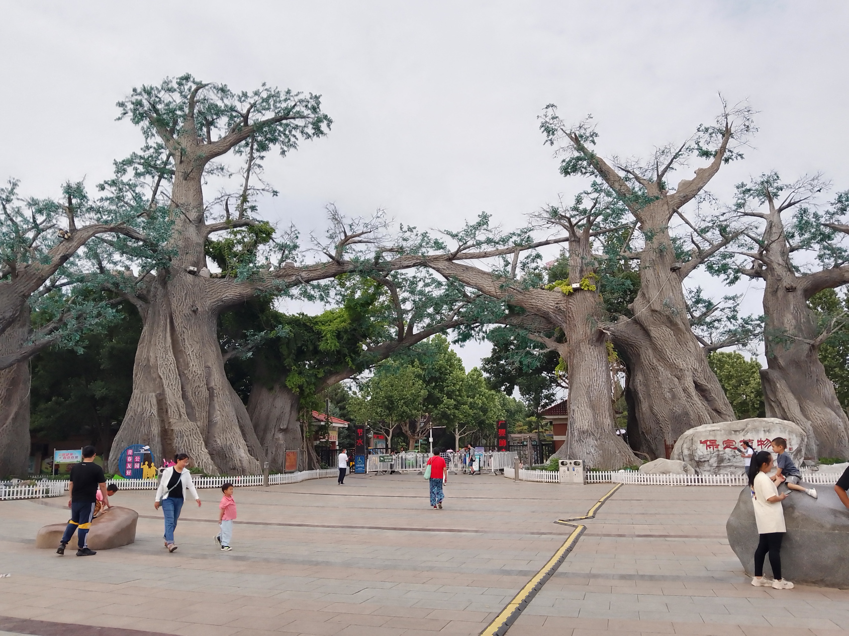 保定植物园半日游.