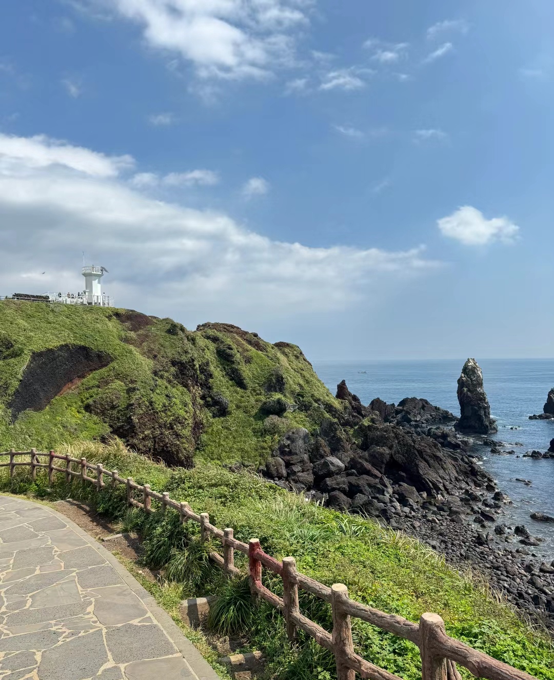 济州岛被翠绿的山峦环绕,山峰上覆盖着茂密的树木