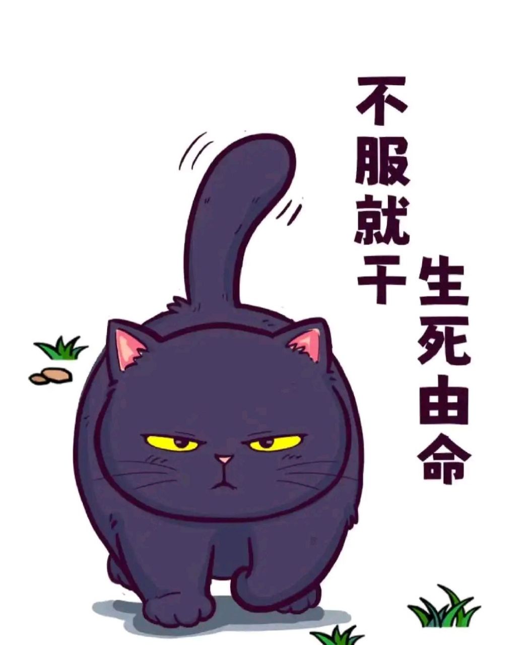 逗你玩呢# #表情包# 生来骄傲不服让道