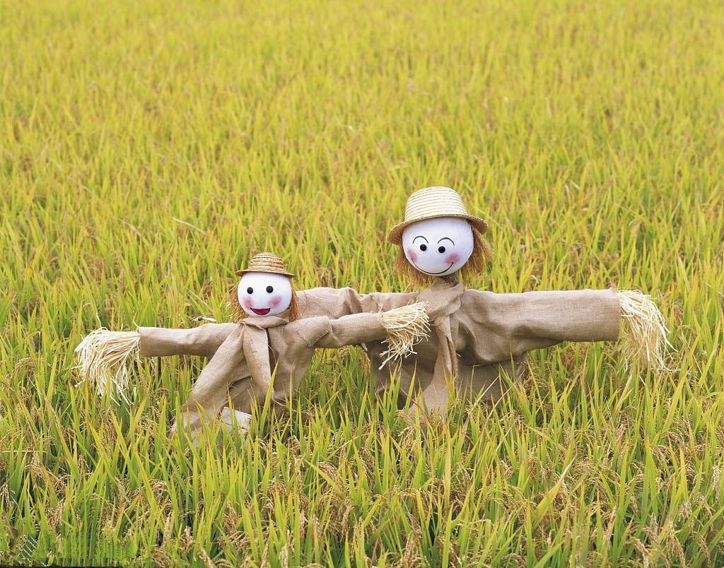 仅有一个活人的稻草人村,环境让人触目惊心,背后原因却让人难受