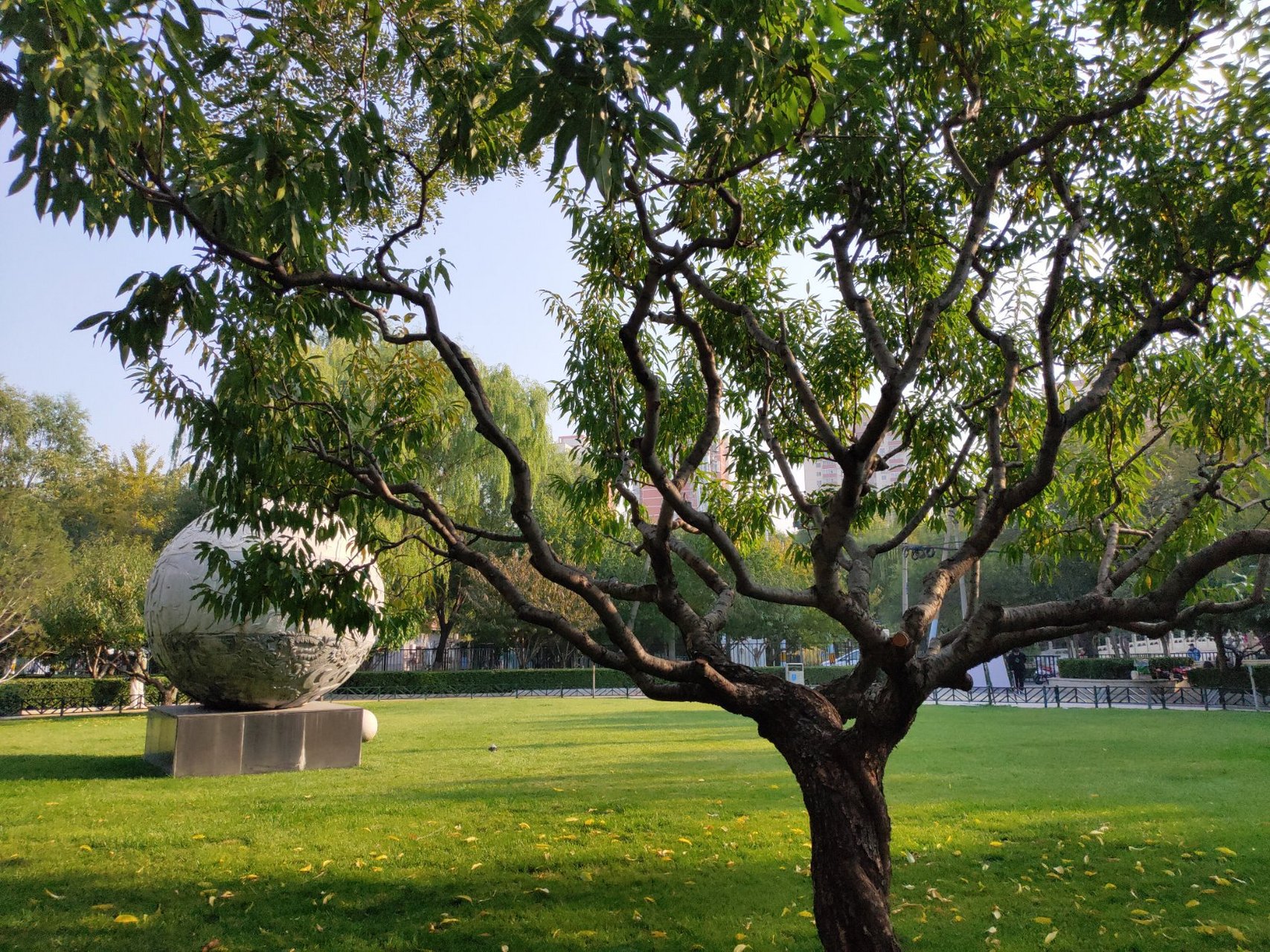 北京,南长河公园.