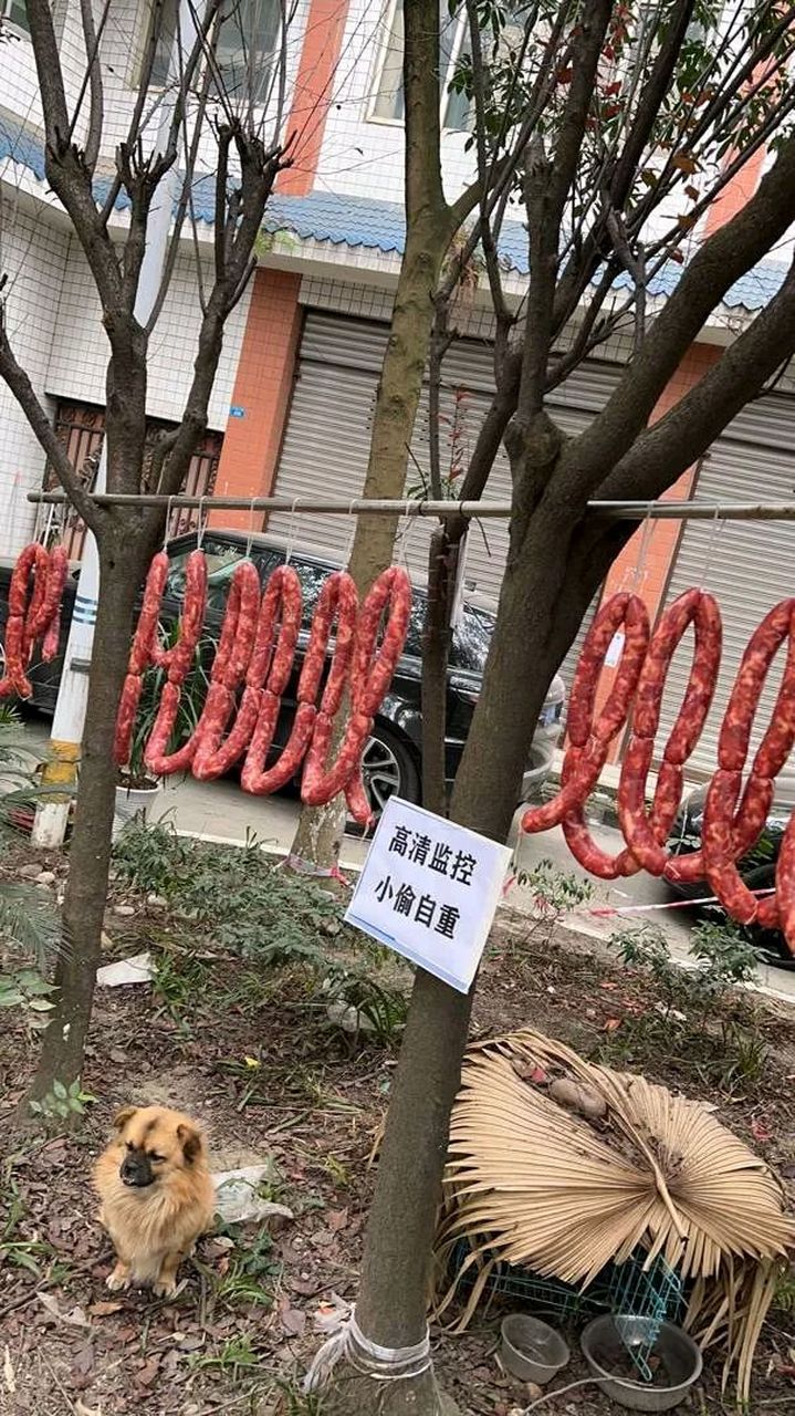 有的贼娃子不识字,贴再多都还是要偷,再偷我就大街上贴照片