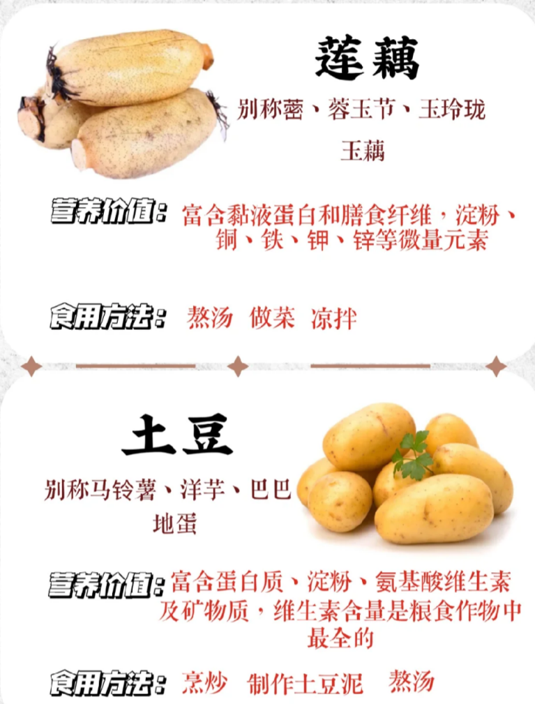各种薯类的名称和图片图片