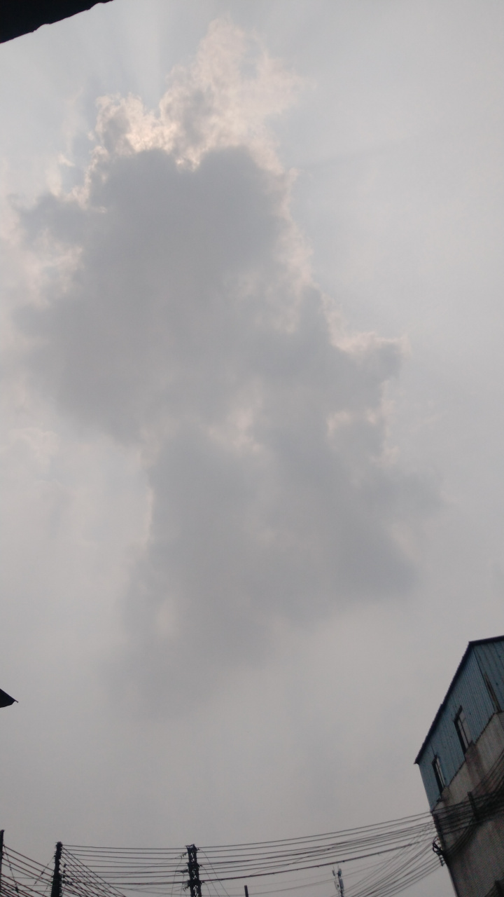 今天的天空灰蒙蒙的,乌云密布,像我的心情一样沉闷.